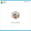 台南女中