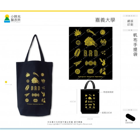 嘉義大學