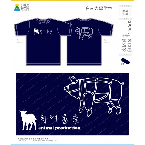 台南大學附中